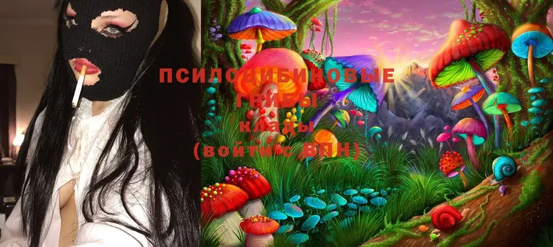 Псилоцибиновые грибы MAGIC MUSHROOMS  Медынь 